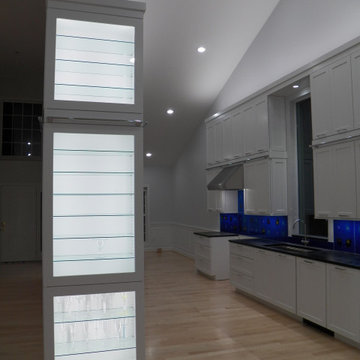 Monolithic Montgomery Custom Kitchen with Library Ladder
