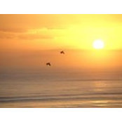 Judy Moses's photo