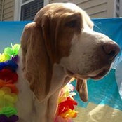Barbara Hansen's photo