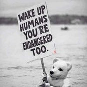 Shanna Mitchell's photo