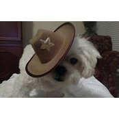 Carla Moore's photo
