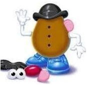 Sharon Donovan's photo