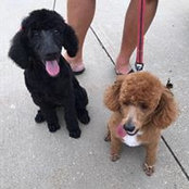 Gina Abben's photo