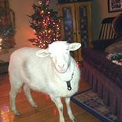Jeni Siltz's photo