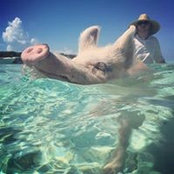 Kyle Markt's photo