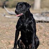 Mike Whorton's photo
