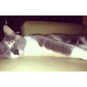 Vicky Pallett's photo