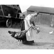 Kathleen Ryan's photo