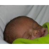 Andrew Guindon's photo