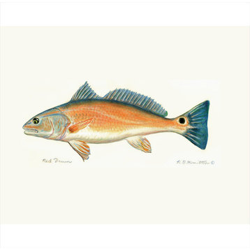 Betsy Drake Red Drum Outdoor Wall Hanging 24x30