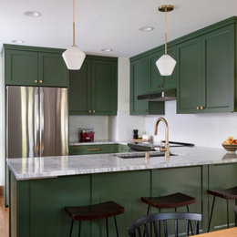 https://www.houzz.com/photos/green-vibe-kitchen-transitional-kitchen-minneapolis-phvw-vp~179440911