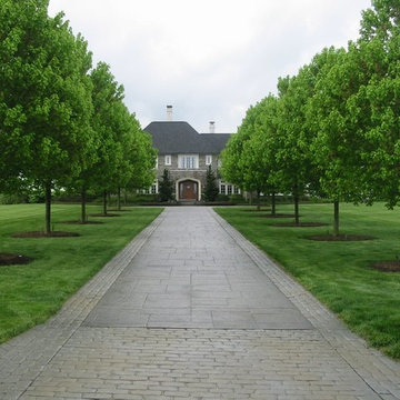 Stamped Concrete Designs