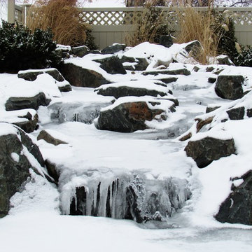 Water Feature - Pond