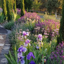 outdoor Landscape