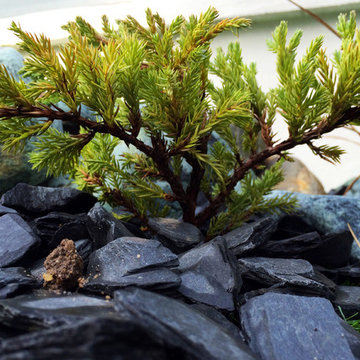 Piscine & Mini golf – Bordeaux 33
