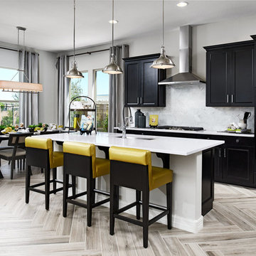 Raven model home in Arizona