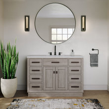 Guest Bath Cabinet & vanity