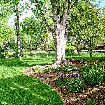 Backyard Splendor