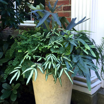 Container Planting Designs