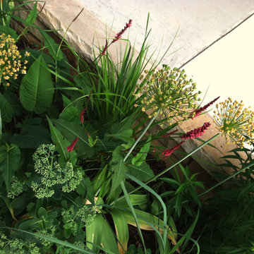 Residential Garden, Louisville, Est. 2012