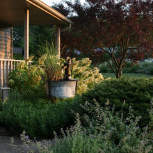 front yard
