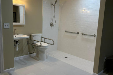 Inspiration for a bathroom remodel in DC Metro