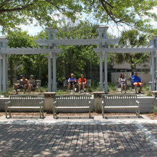 swings