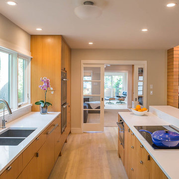 Contemporary Kitchen