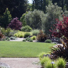 garden general plantings