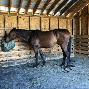 Horse Stall Mats in Shed