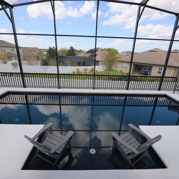 Custom Swimming Pool in Ocoee, Florida