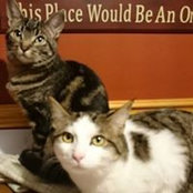 Tracie Gonneau's photo