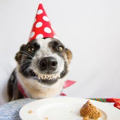 Odette Aparicio's photo
