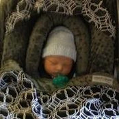 Paul Breeden's photo