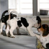 Annie Custer's photo