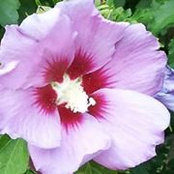 Valeta Wilson's photo