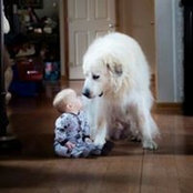 Foto von Stephi Balou