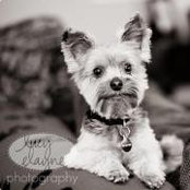 Leigh White's photo