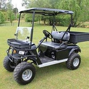Wayne Mulhollandさんの写真
