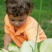 Sarah Agarwal's photo