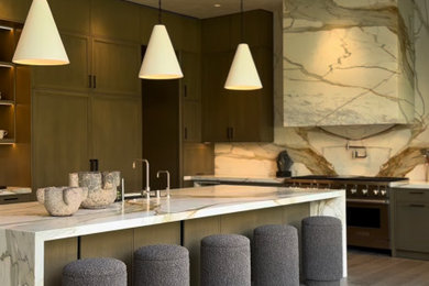Inspiration for a kitchen remodel in Chicago