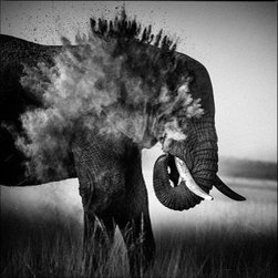 Laurent Baheux - Products