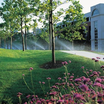 Irrigation Installation & Service