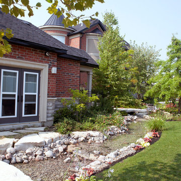 Backyard Rainforest & Garden