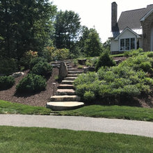 Front yard/entry