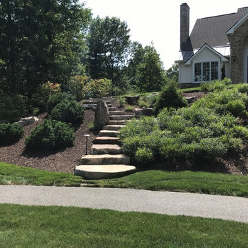 Natural Stone Steps