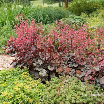 Shade to Sun - A Journey of a Perennial Garden