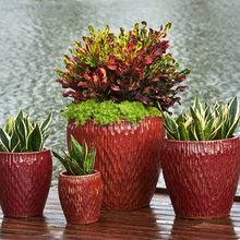 Patio Planters
