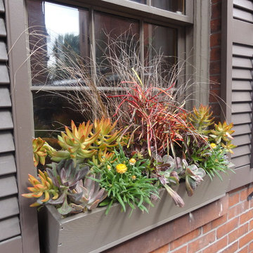 Container Gardens and Window Boxes