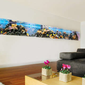 Aquarium Architecture
